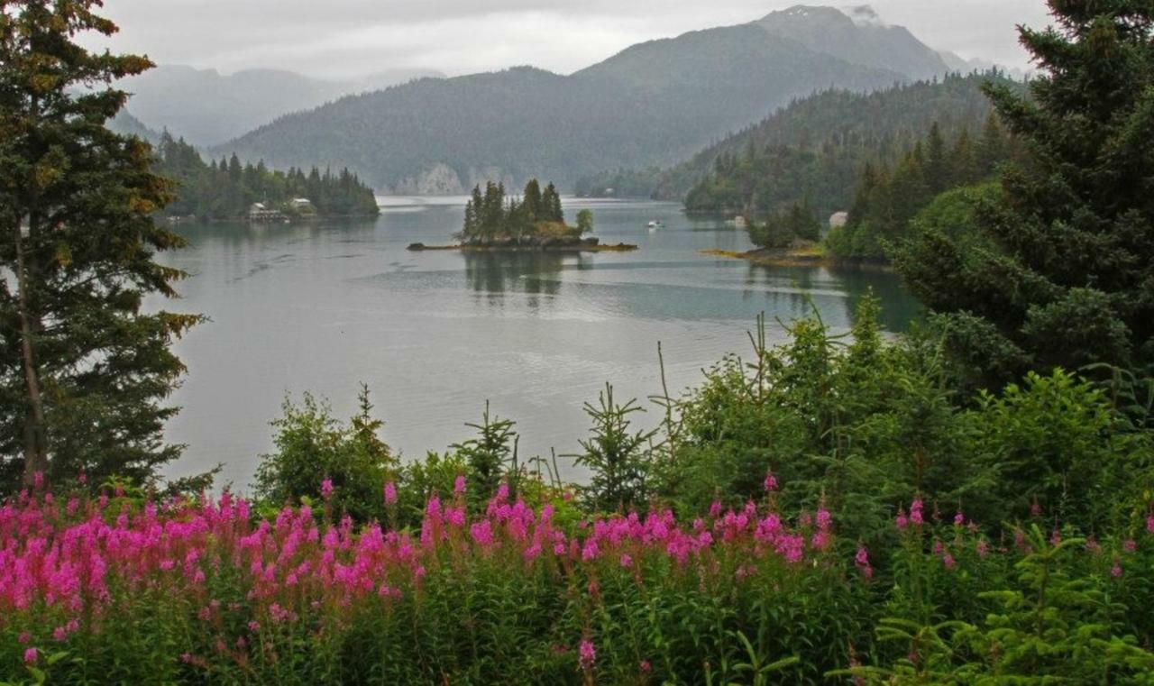 Stillpoint Lodge - All-Inclusive Halibut Cove Exteriör bild